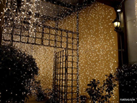 2010 w